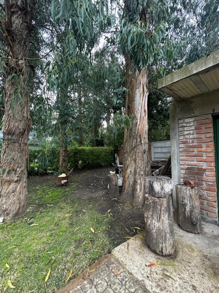 CASA ALQUILER 24 M, 4 AMBIENTES BOSQUE PERALTA RAMOS