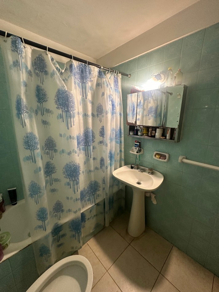 1 AMBIENTE Y MEDIO DIVIDIDO CON PATIO