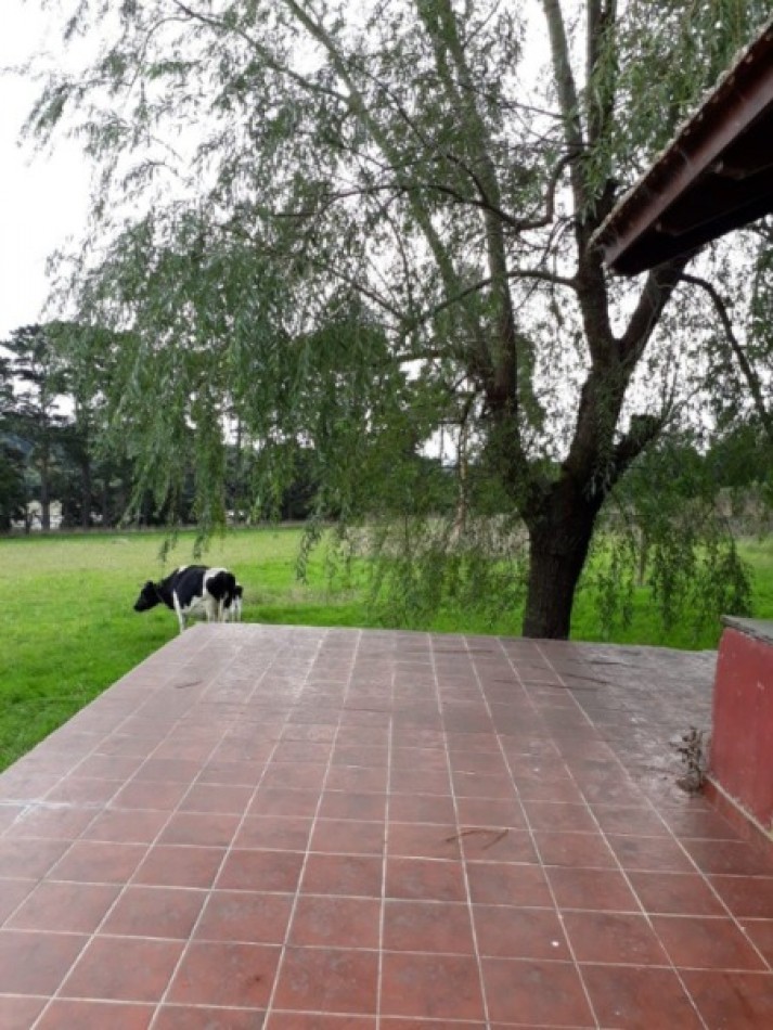 Casa de 3 ambientes a reciclar en lote de una hectarea