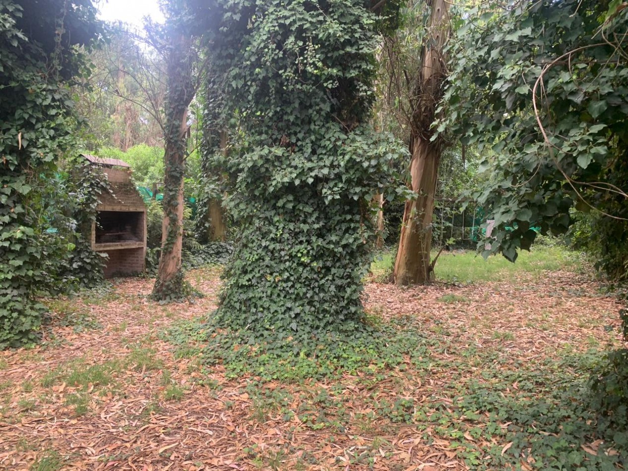 Casa en Bosque Peralta Ramos