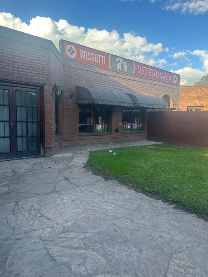 Local Comercial en Alquiler